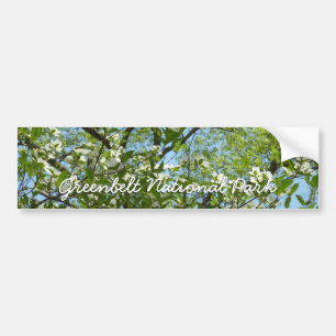 Pegatina Para Coche Ramas de Dogwood florecen árboles de primavera