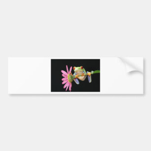 Pegatina Para Coche rana arbórea observada rojo