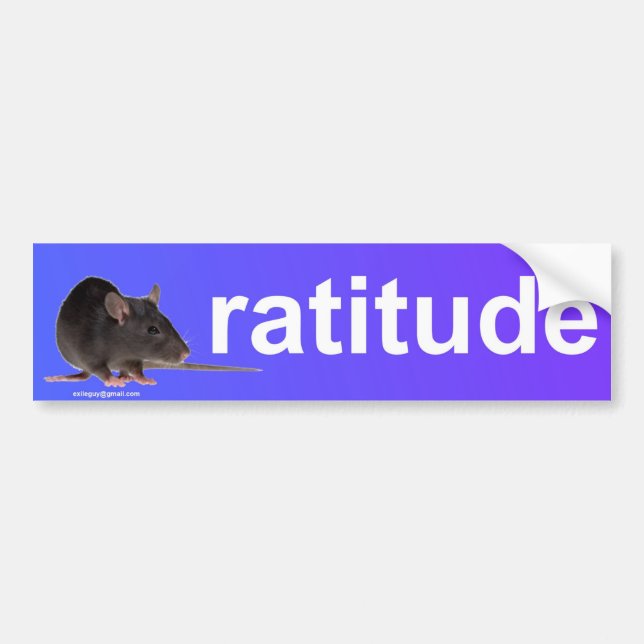 Pegatina Para Coche ratitude (Frente)
