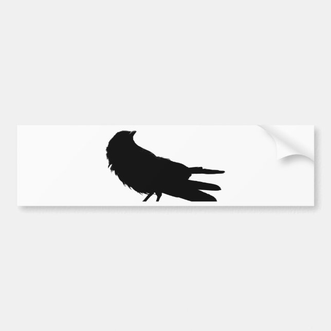 Pegatina Para Coche Raven of Love_ (Frente)