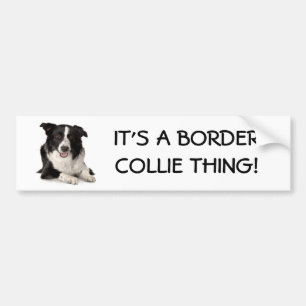 Pegatina Para Coche ¡Raza-Frontera-Collie, es UNA COSA del BORDER