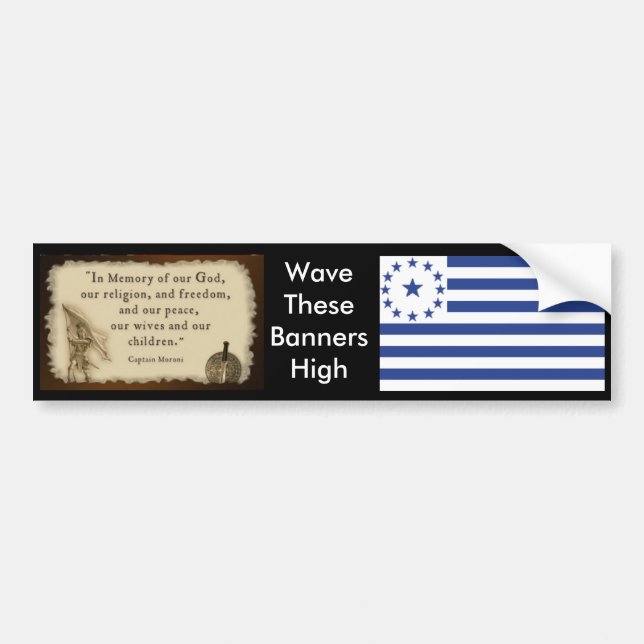 Pegatina Para Coche Reino del parachoque de dios (Frente)