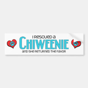 Pegatina Para Coche Rescaté un diseño (femenino) de la adopción del