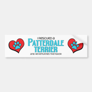Pegatina Para Coche Rescaté un Patterdale Terrier (el perro masculino)