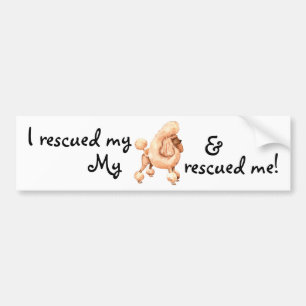 Pegatina Para Coche Rescue Toy Poodle