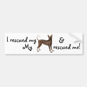 Pegatina Para Coche Rescue Xoloitzcuintli