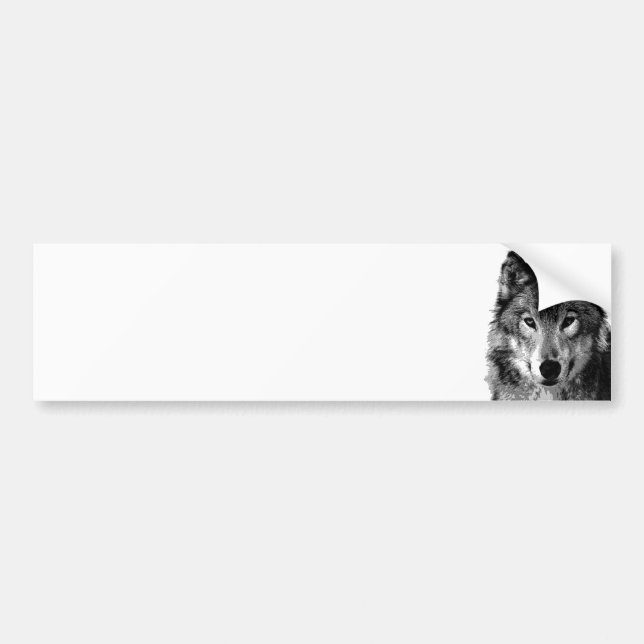 Pegatina Para Coche Retrato de lobo blanco y negro (Frente)