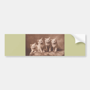Pegatina Para Coche Retrato del gatito del vintage de Aristocrats* del