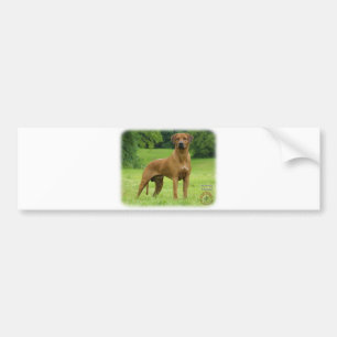 Pegatina Para Coche Rhodesian Ridgeback