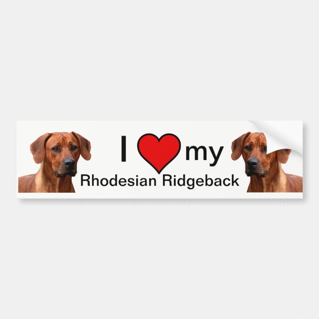 Pegatina Para Coche Rhodesian Ridgeback bumpersticker (Frente)