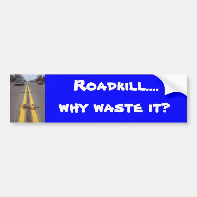 Pegatina Para Coche Roadkill….¿, por qué piérdalo? (Frente)