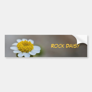 Pegatina Para Coche Rock Daisy