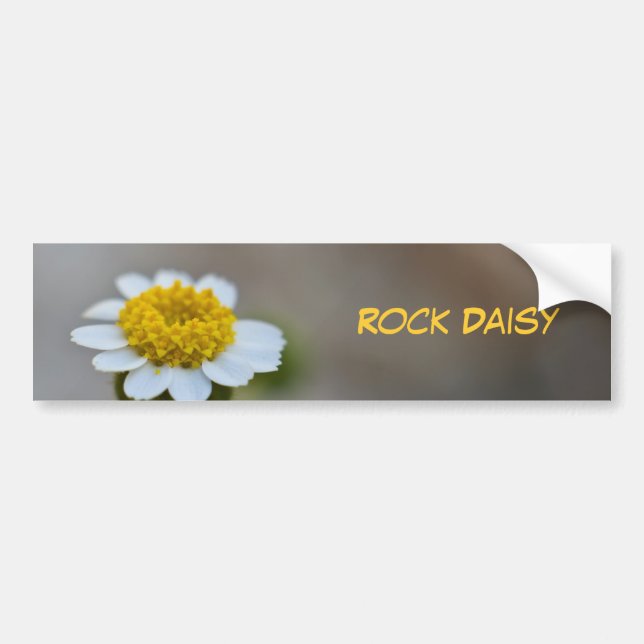 Pegatina Para Coche Rock Daisy (Frente)