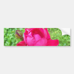 Pegatina Para Coche Rosa en flor