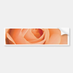Pegatina Para Coche Rosa naranja