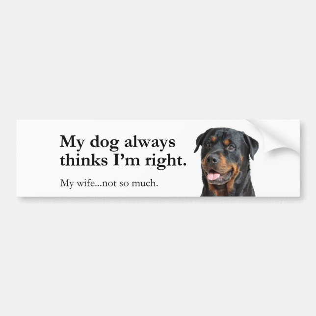 Pegatina Para Coche Rottie vs Wife Bumper Sticker (Frente)