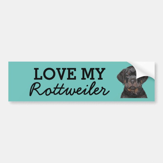 Pegatina Para Coche Rottweiler bumper sticker (Frente)