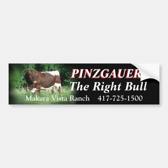 Pegatina Para Coche RRF2-rhtbl-Bumpersticker-customize (Frente)