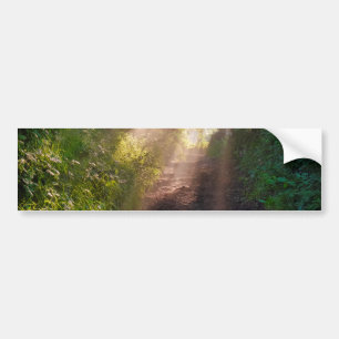 Pegatina Para Coche Ruta forestal