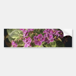 Pegatina Para Coche Saintpaulia "opción púrpura" de la lavanda