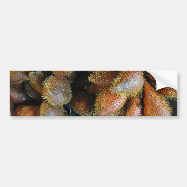 Pegatina Para Coche Salak [Fruta de la serpiente] (Frente)