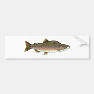 Pegatina Para Coche Salmones rosados