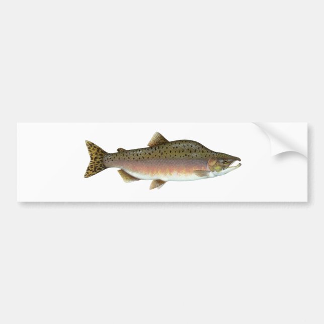 Pegatina Para Coche Salmones rosados (Frente)