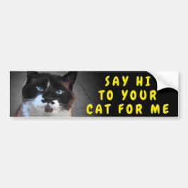 Pegatina Para Coche Saluda A Tu Gato Meme Bumper Sticker