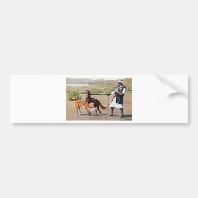 Pegatina Para Coche saluki (Frente)