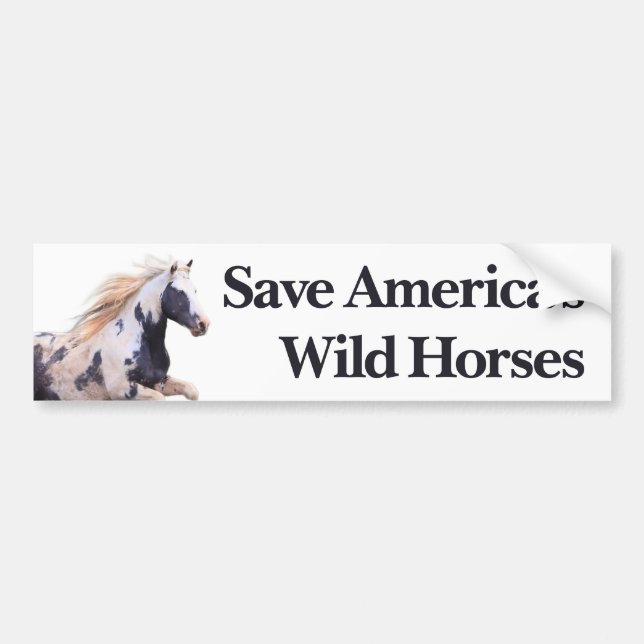 Pegatina Para Coche Salvemos a los caballos salvajes de Estados Unidos (Frente)