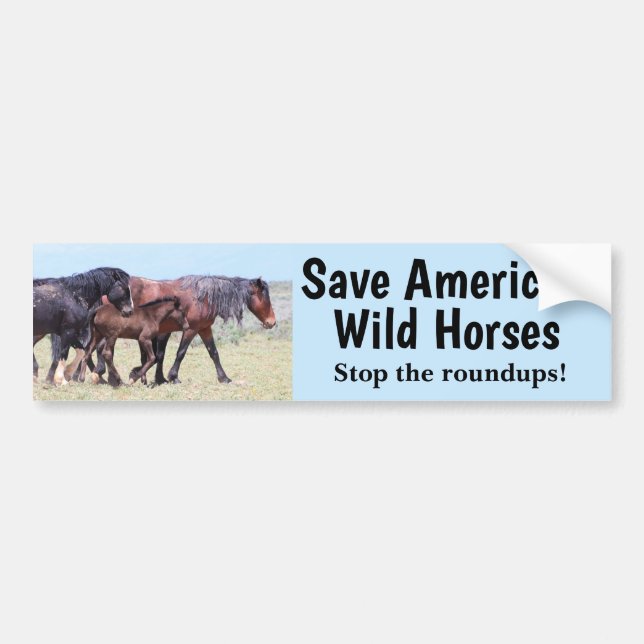 Pegatina Para Coche Salvemos a los caballos salvajes de Estados Unidos (Frente)