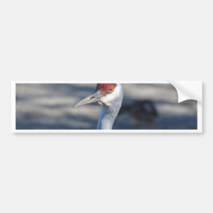 Pegatina Para Coche Sandhill Crane