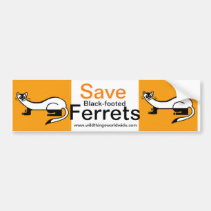 Pegatina Para Coche Save Black FERRETS - Activista animal -