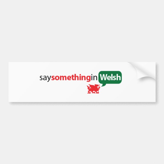 Pegatina Para Coche SaySomethinginWelsh (Frente)