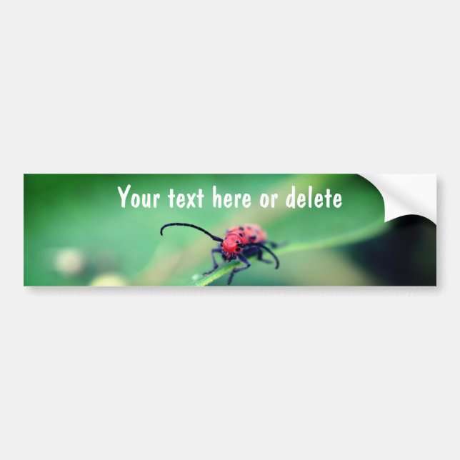 Pegatina Para Coche Scary Red Spotted Beetle Nature Personalized (Frente)