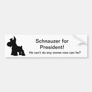 Pegatina Para Coche Schnauzer para el presidente