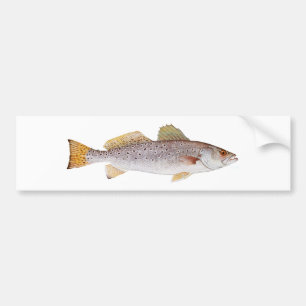 Pegatina Para Coche Seatrout manchado