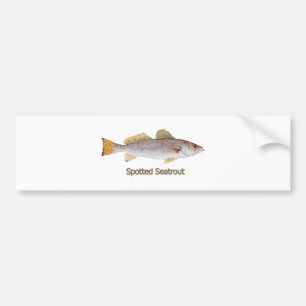 Pegatina Para Coche Seatrout manchado (titulado)
