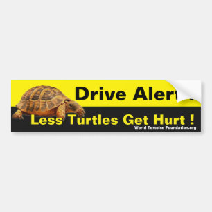 Pegatina Para Coche Seguridad Bumpersticker de la tortuga