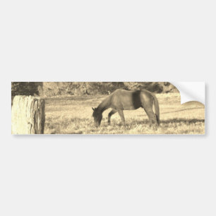 Pegatina Para Coche Sepia tono Caballo marrón y cerca