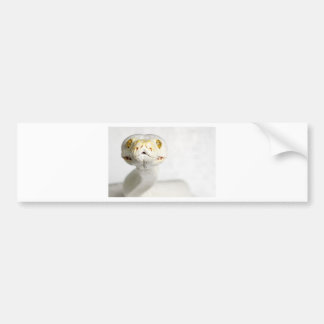 PEGATINA PARA COCHE SERPIENTE ALBINA