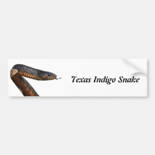 Pegatina Para Coche Serpiente de añil de Tejas