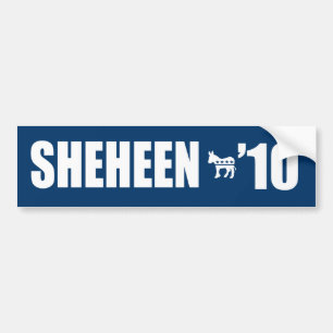 PEGATINA PARA COCHE SHEHEEN 2010