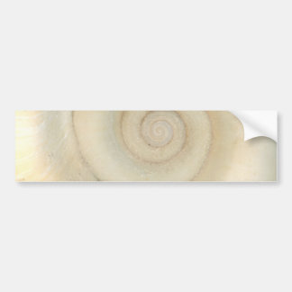 Pegatina Para Coche Shell - conquiliología - espiral blanco