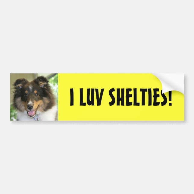 Pegatina Para Coche ¡Sheltie, I LUV SHELTIES! (Frente)