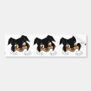 Pegatina Para Coche Shetland Sheepdog Black Tri Peeking Personalizado