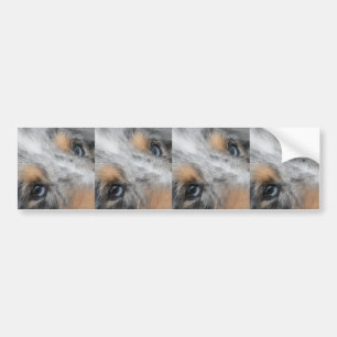 Pegatina Para Coche Shetland Sheepdog Blue Merle Eyes