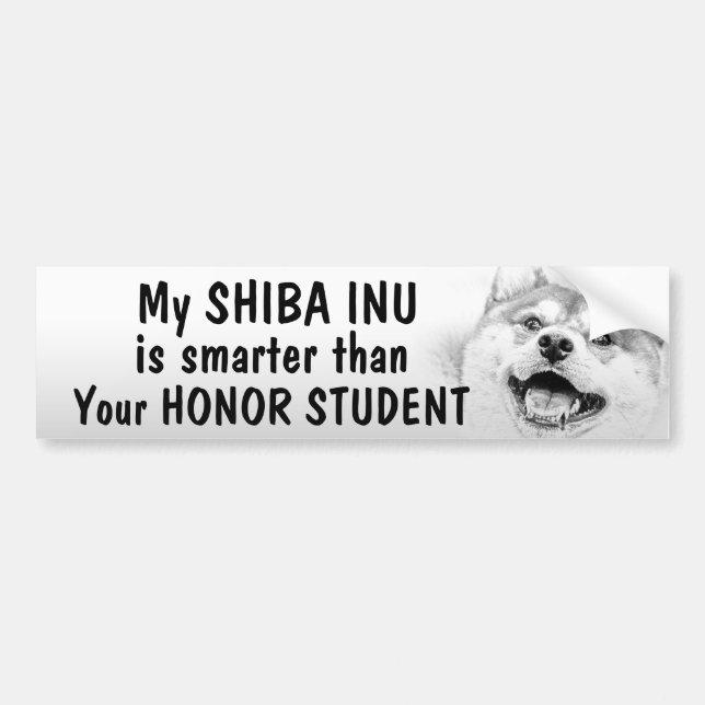 Pegatina Para Coche Shiba Inu - más elegante que estudiante del honor (Frente)