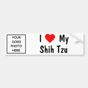 Pegatina Para Coche Shih Tzu