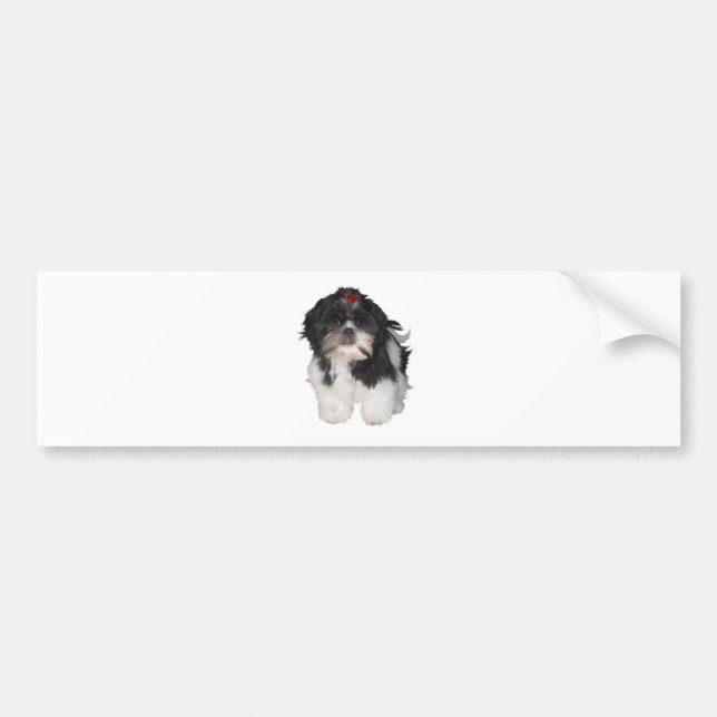 Pegatina Para Coche Shitzu Shih Tzu Cuppy Perros (Frente)